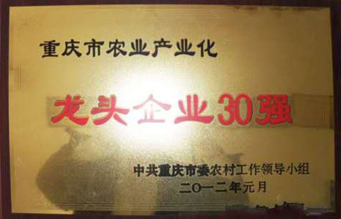 龍頭企業(yè)30強(qiáng)